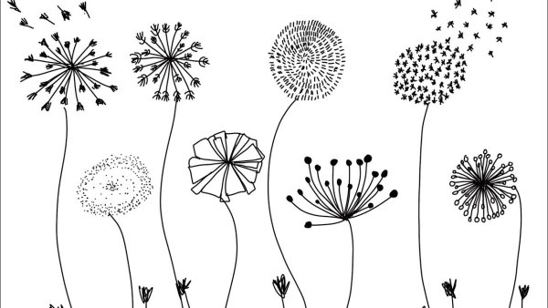 Одуванчик раскраска