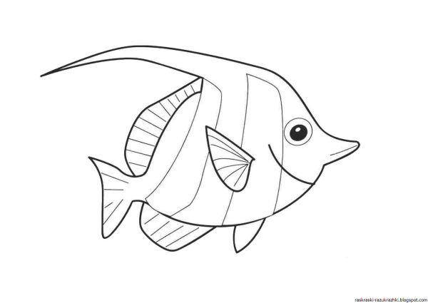 Раскраска рыба Карп