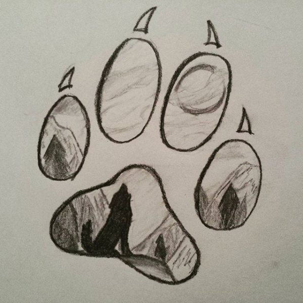 Легкие рисунки лапки