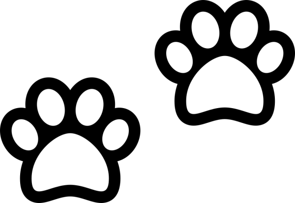 Раскраска лапка котика