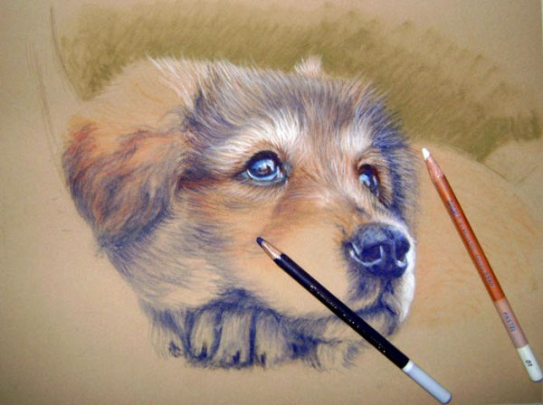 Зарисовки цветными карандашами