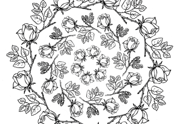 Шиповник раскраска для детей