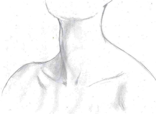 Наброски шеи