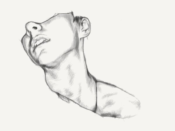 Шея рисунок