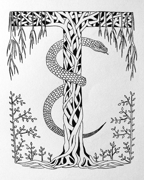 Буквица Графика