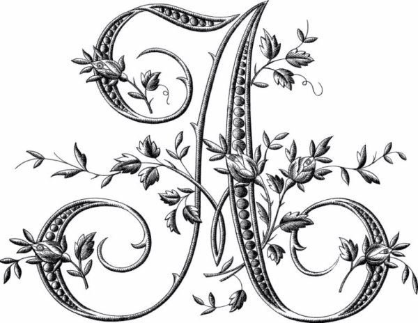 Буквы с растительным орнаментом