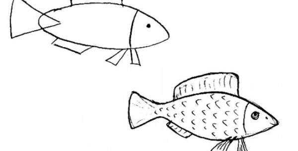Карась раскраска