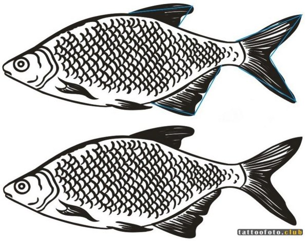 Карась раскраска для детей