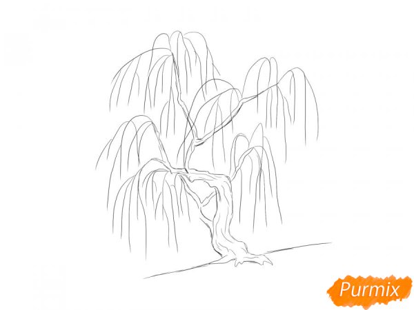 Ива раскраска для детей