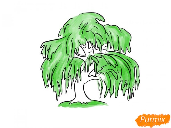 Ива карандашом