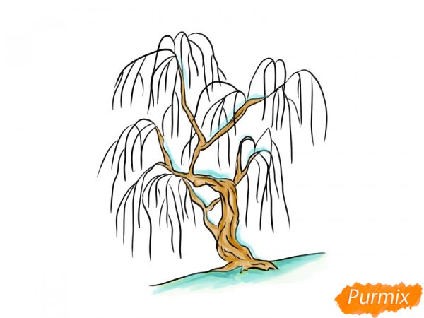 Ивы плакучей черно белые