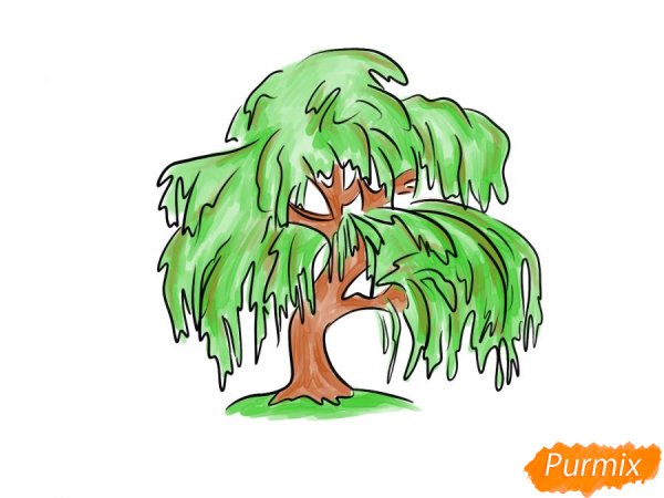 Раскраска дерево Ива