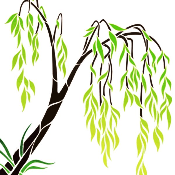 Раскраска дерево Ива для детей