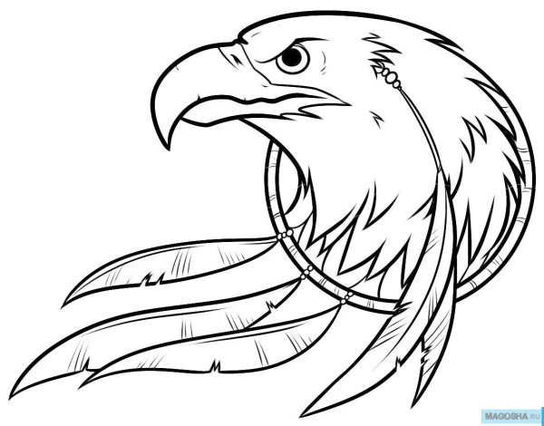 Орел карандашом