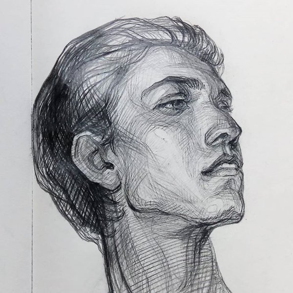 Зарисовки карандашом