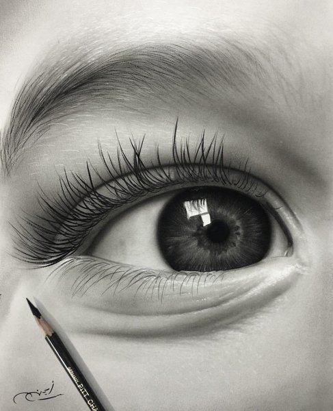 Профессиональные рисунки