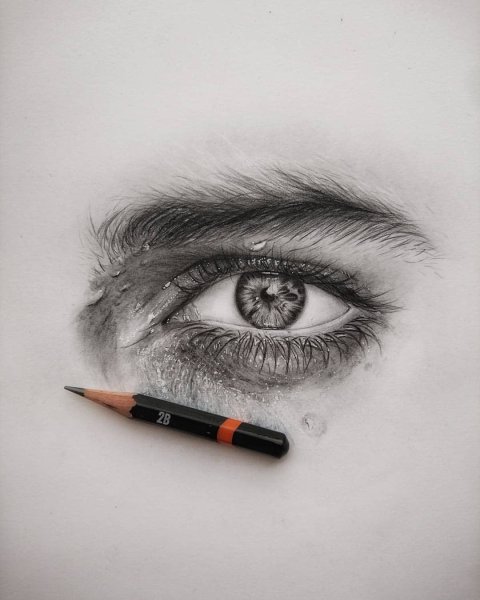 Кошка рисунок карандашом