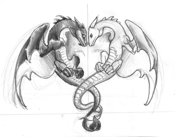 Дракон для срисовки