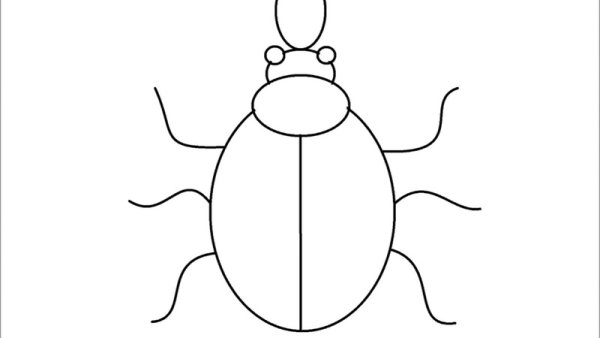 Жук скарабей раскраска