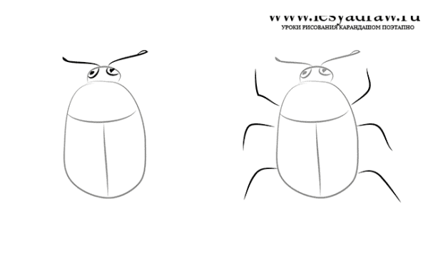 Жук раскраска для детей