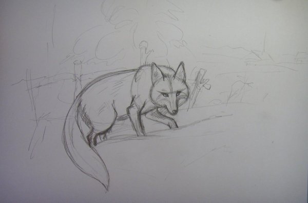 Лиса карандашом