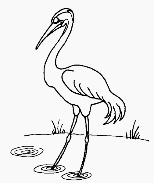 Цапля карандашом для детей