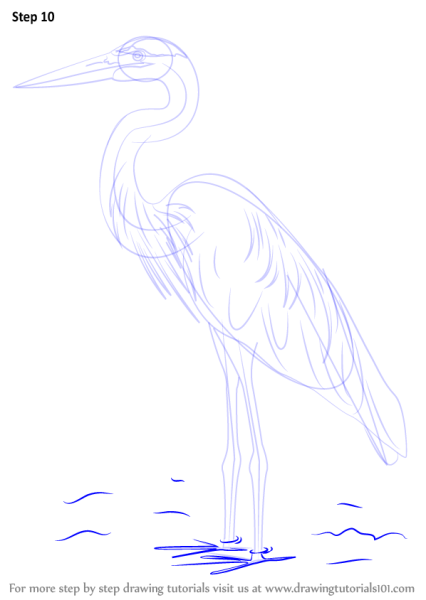 Цапля раскраска для детей