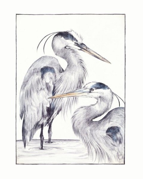 Журавль карандашом