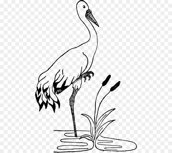 Аист черно белый рисунок