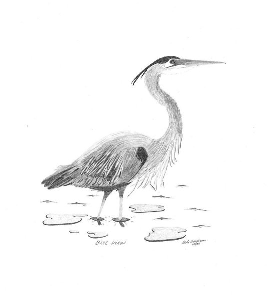 Цапля скетч