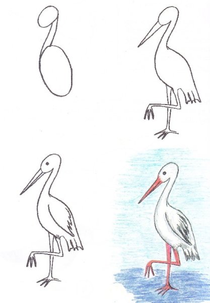 Цапля Графика