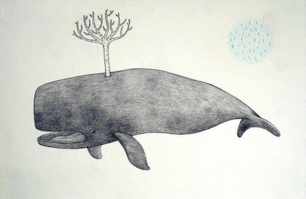 Рисуем кашалота