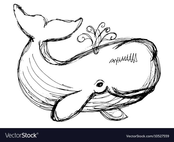 Кашалот рисунок карандашом для детей