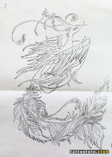 Трафарет павлина для рисования