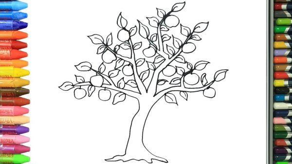 Дерево для рисования