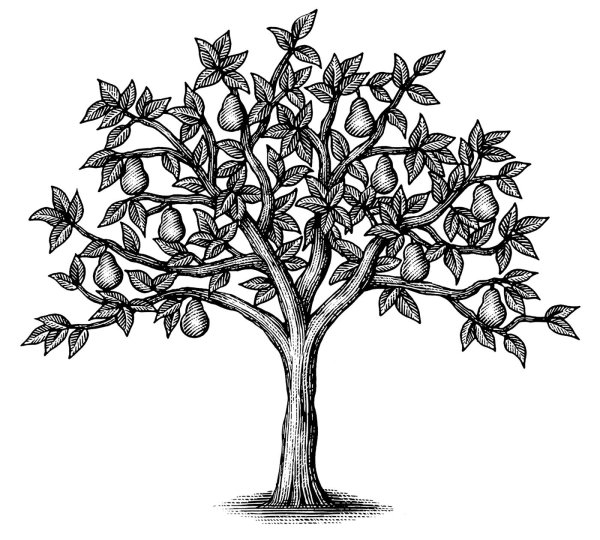 Дерево для рисования