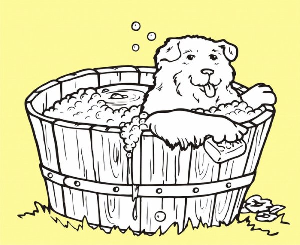 Тазик раскраска для детей