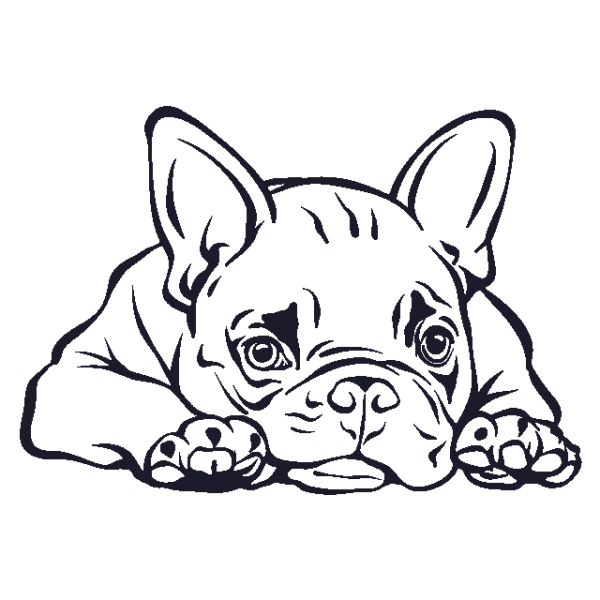 Французский бульдог щенок раскраска