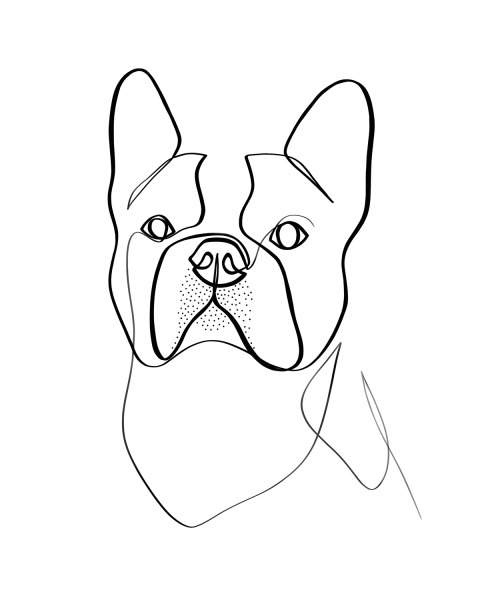 Нарисовать французского бульдога пошагово