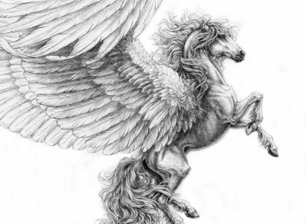 Мистические животные для срисовки