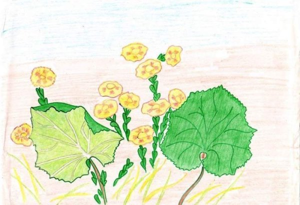 Нарисовать мать и мачеху