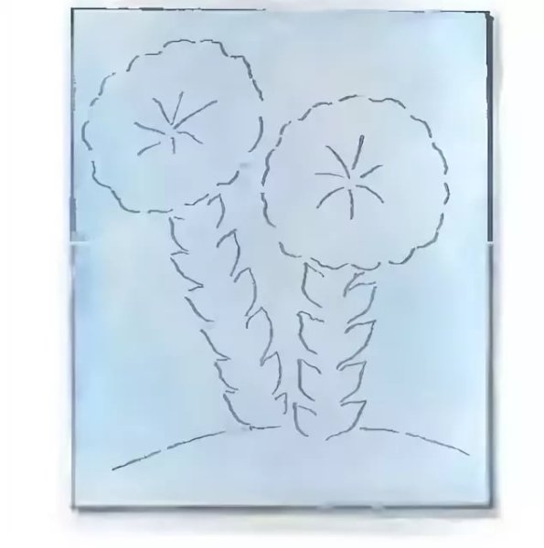 Раннецветущие растения одуванчик