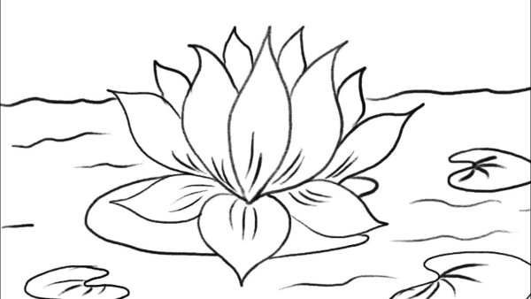 Раскраски цветок Лотос для срисовки