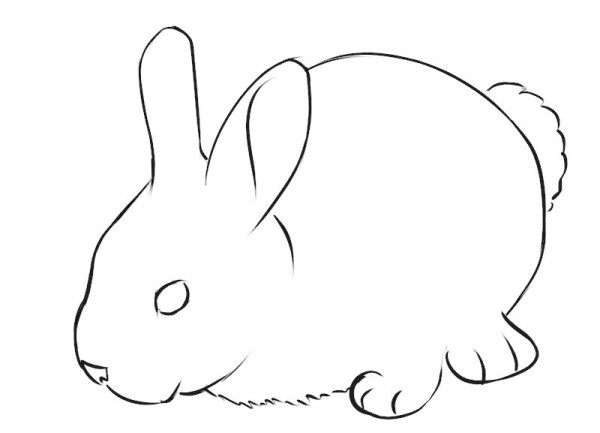 Заяц рисунок карандашом для детей