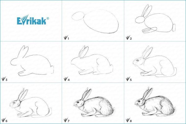 Уроки рисования животные