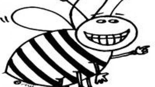 Шмель черно белый