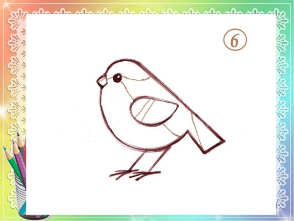 Поэтапное рисование воробья