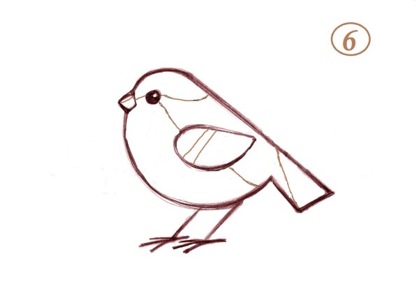 Синичка раскраска для детей