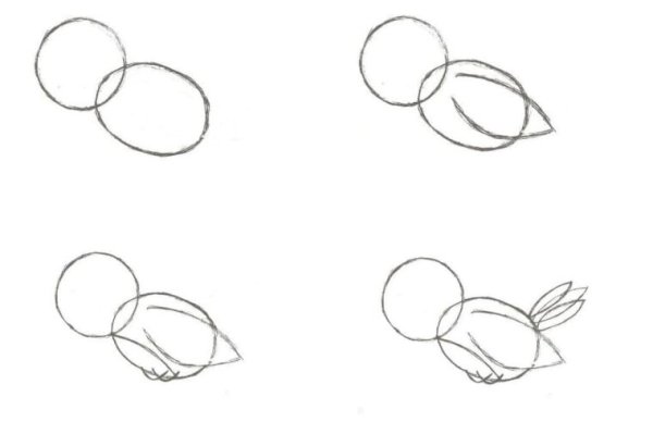 Воробей рисунок карандашом