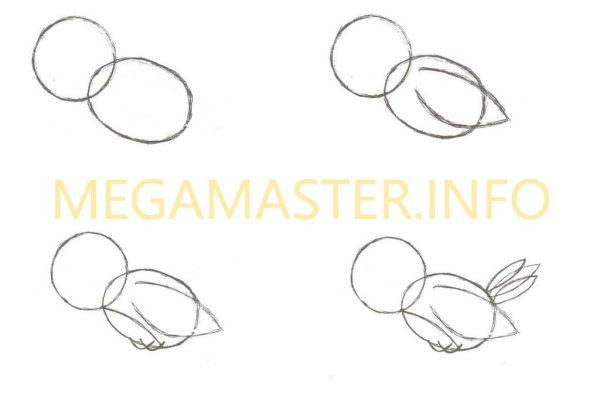 Синица рисунок